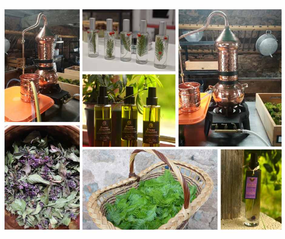 Atelier senteurs olfactif